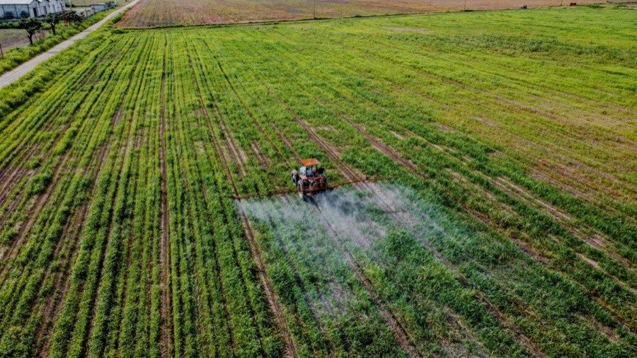 Healthy soil structure supporting root growth