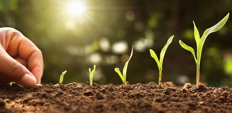 Farmland supported by microbial biotechnology