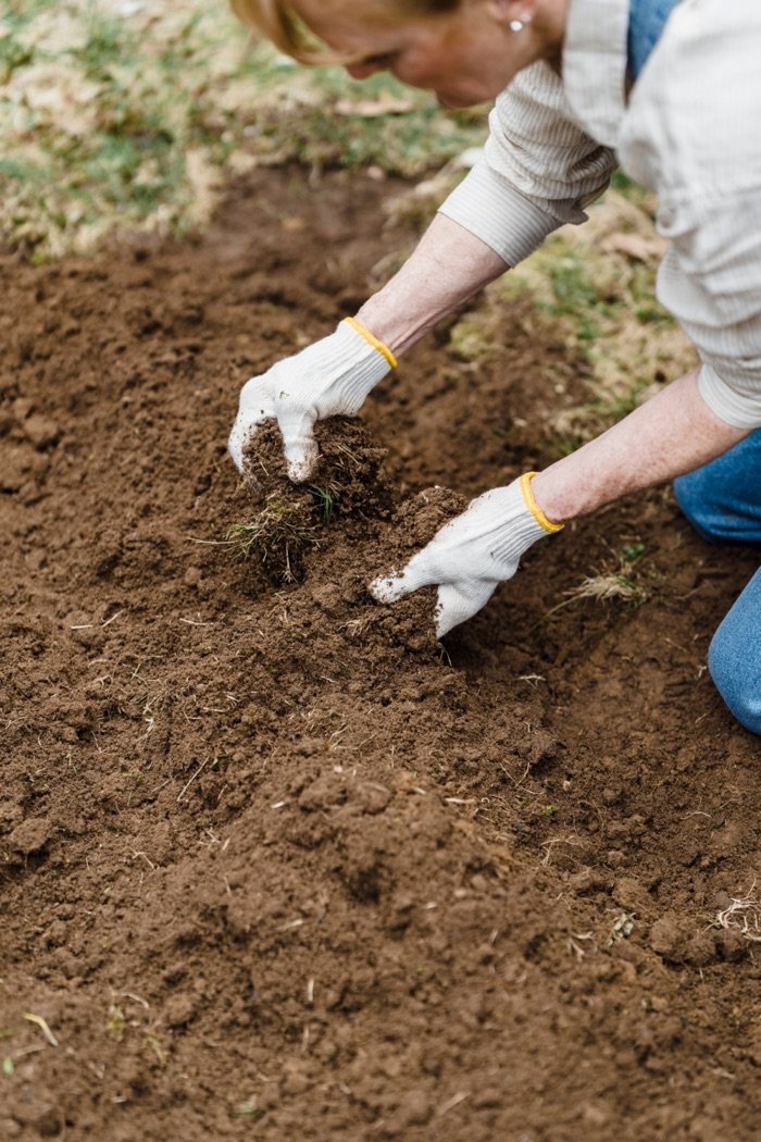 Healthy soil supported by beneficial microbes