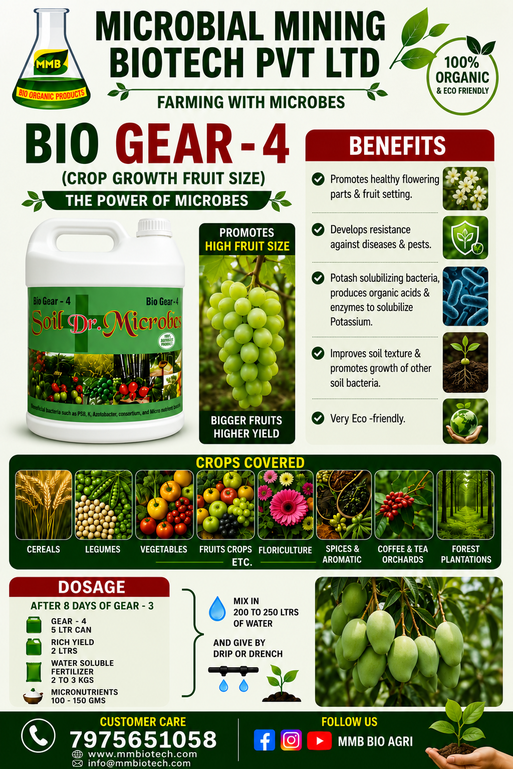 Bio Gear-4 — boosting Fruit size