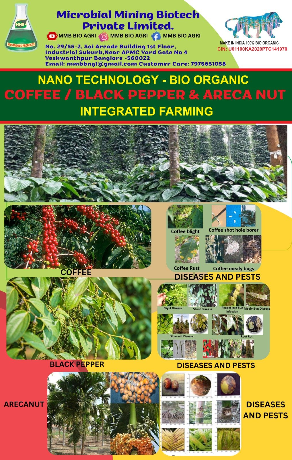 Coffee, black pepper & areca nut — integrated disease & pest management