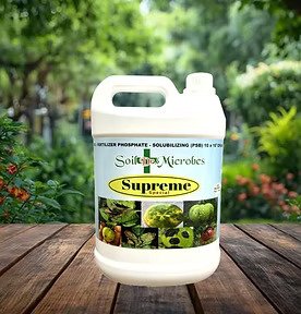 SUPREME SPECIAL  ಸುಪ್ರೀಂ ಸ್ಪೆಷಲ್